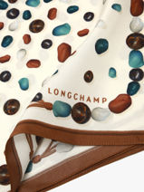 Longchamp Soie gots Foulard Bruin-vue-porte