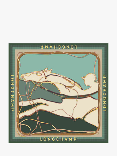 Longchamp Soie gots Sjaal Groen