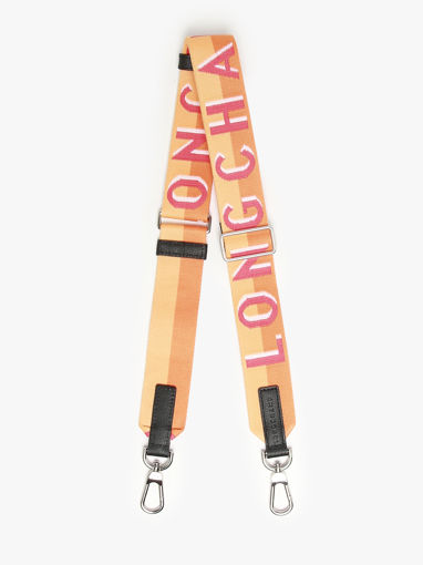 Longchamp Bandouli�re ombr�e Juwelen Groen