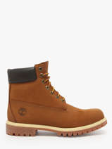 Enkellaarzen Uit Leder Timberland Bruin men 2066EBL1