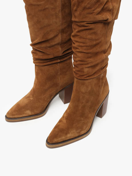 Laarzen Met Hak Camden Uit Leder Alpe Bruin women 52191101 ander zicht 9